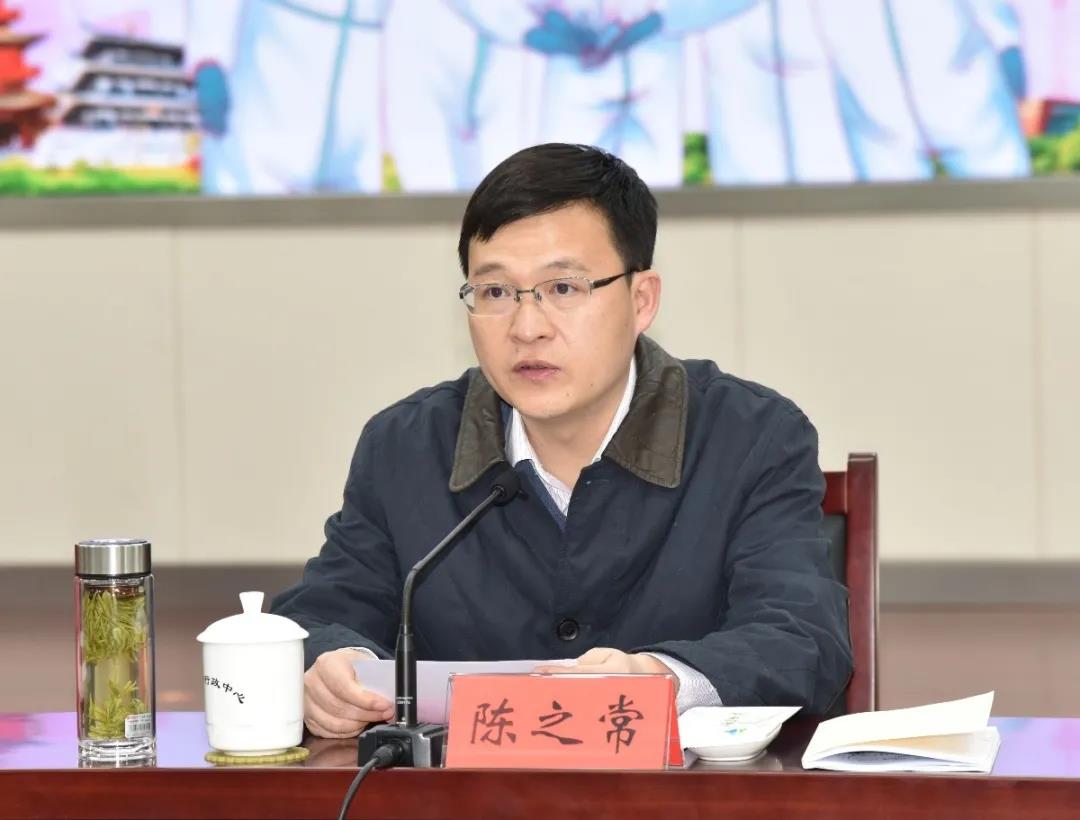 最高礼遇市委市政府召开欢迎援鄂医疗队凯旋座谈会